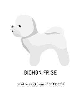 Bichon frise. Dog, flat icon. Isolated on white background.