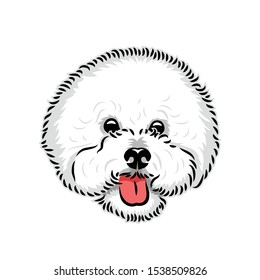 Bichon Frise dog - isolated vector illustration