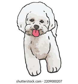 Bichon Frise Dog Pet Colored Drawing