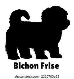  Bichon Frise Dog puppies silhouette. Baby dog silhouette. Puppy