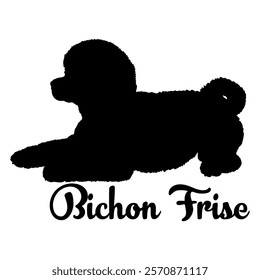 Bichon Frise dog silhouette, dog breeds, logo, vector, silhouette,  animal, illustration, icon, sign, design, black, symbol, pet, love
