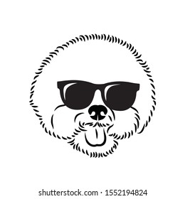 Bichon Frise dog wearing sunglasses - isolated vector illustration