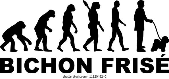 Bichon Frise evolution development with silhouette 