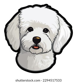 Bichon Frise Flat Icon Isolated On White Background