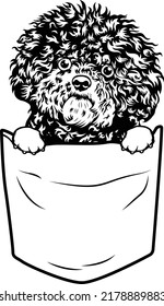 Bichon frise fluffly dog realistic cute pocket art EPS vector art