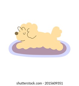 Bichon Frise lying on rug. Vector illustration on white background.