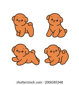 Bichon Frise puppy. Different poses of dog. Vector illustration in cartoon style for poster, postcard.