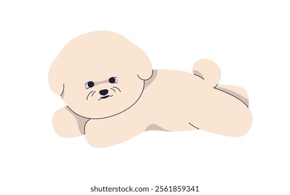 Bichon Frise puppy lying. Cute fluffy canine animal breed with in funny pose. Lovely companion pet, little baby dog. Adorable miniature pup. Flat vector illustration isolated on white background