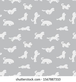Bichon frise seamless pattern. Dog pattern. Vector.