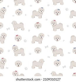 Bichon frise Teacup seamless pattern. Different coat colors and poses set.  Vector illustration