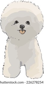 Bichon frize sketch style illustration