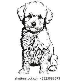 Bichons Frise dog outline pencil drawing artwork, black character on white background