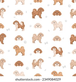 Bichpoo; Poochon seamless pattern. Bichon Frise Poodle mix. Different coat colors set.; Vector illustration