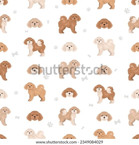 Bichpoo; Poochon seamless pattern. Bichon Frise Poodle mix. Different coat colors set.; Vector illustration
