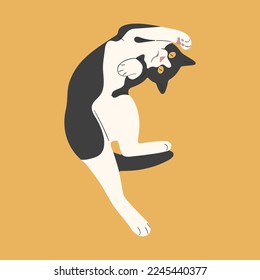 Bicolor cat cute 2 on a yellow background, vector illustration.