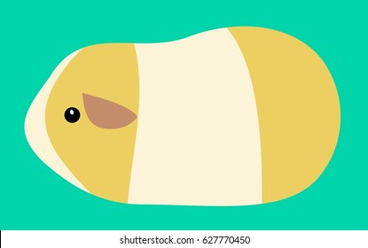 Bicolor cream - white guinea pig on blue background. Vector, eps.