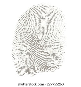 Bicolored Fingerprint of a Thumb