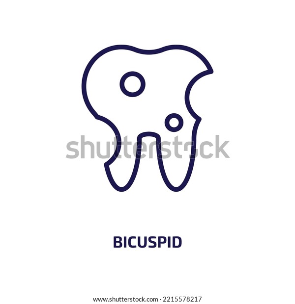 bicuspid icon from\
dentist collection. Thin linear bicuspid, medical, health outline\
icon isolated on white background. Line vector bicuspid sign,\
symbol for web and\
mobile