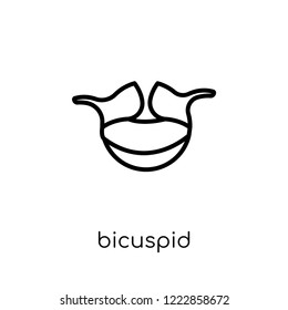 Bicuspid icon. Trendy modern flat linear vector Bicuspid icon on white background from thin line Dentist collection, editable outline stroke vector illustration