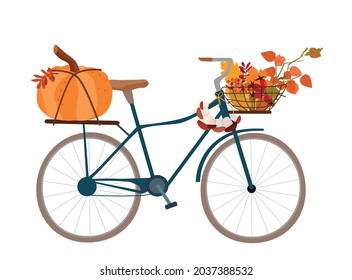 A bicycle with a basket of autumn harvest, pumpkin, physalis, leaves, a bunch of mushrooms. Harvest, hello autumn. Vector illustration.