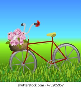 Bicycle with basket of chrysanthemums