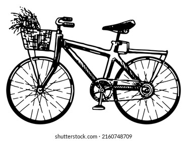 Bicycle with basket of flowers sketch clipart. Summer leisure activities sport doodle isolated on white. Hand drawn vector illustration in engraving style.