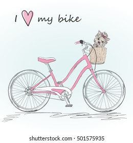 Bicycle with a basket full of little dog. Vector illustration.