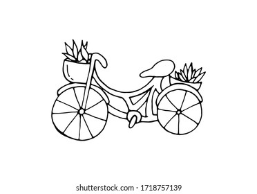 Bicycle with a basket and plants. Vector isolated illustration with a Bicycle. Eco-friendly transport. Doodle style. Printing on dishes, clothing, notebooks, fabrics, posters. Basket with flowers.