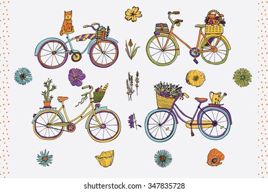 bicycle  color set