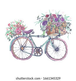 Bicycle with a flower basket in pastel colors. Vector illustration. Freehand drawing. Romantic illustration