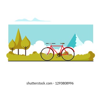 bicycle  in forest
