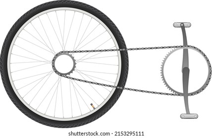 bicycle gear wheel, gear wheel, wheel