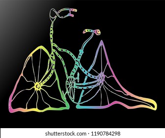 bicycle hallucination rainbow color 