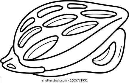 Bicycle helmet. Vector outline icon.