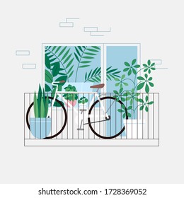 Bicycle and houseplants on the balcony. Room full of plants, view through the window. Urban jungle concept