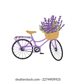 Bicicleta con flores de lavanda elemento de diseño de tarjetas de felicitaciones aisladas. Moto vectorial de primavera con ramo de lilac, transporte francés con cesta floral