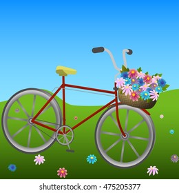 Bicycle in meadow