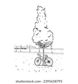 Bicycle parked under a tree - vector
