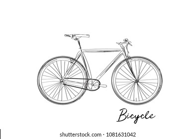 bicycle sketch. hand drawn city bike