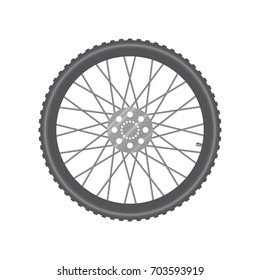 Bicycle wheel isolated