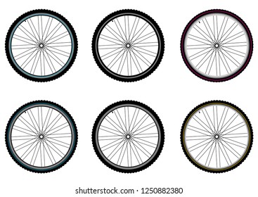 Bicycle wheels. Vector isolated.