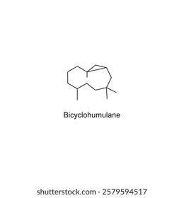 Bicyclohumulane skeletal structure.Sesquiterpene compound schematic illustration. Simple diagram, chemical structure.