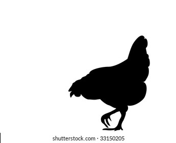 biddy-vector-silhouette