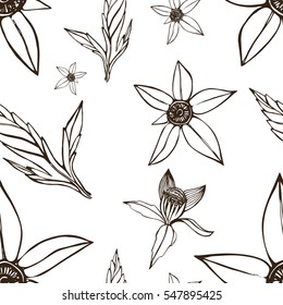 Bidens. Seamless pattern. Brown on a white background. Suitable for packing, Wallpaper, printing, cosmetics, Soaps. Vector illustration