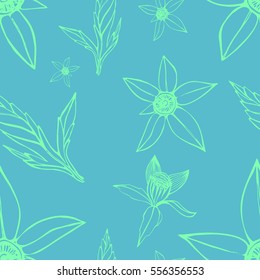 Bidens. Seamless pattern. Turquoise on a blue background. Suitable for packing, Wallpaper, printing, cosmetics, Soaps. Vector illustration