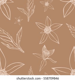 Bidens. Seamless pattern. White on a brown background. Suitable for packing, Wallpaper, printing, cosmetics, Soaps. Vector illustration