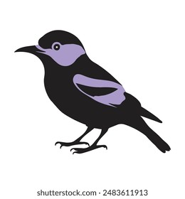 Bied vector art style with white background