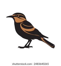 Bied vector art  style, with white background