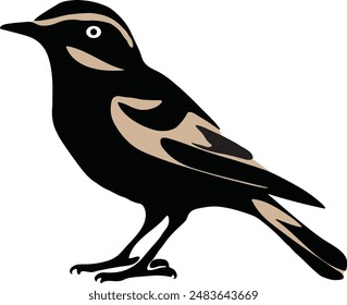 Bied vector art style, with white background