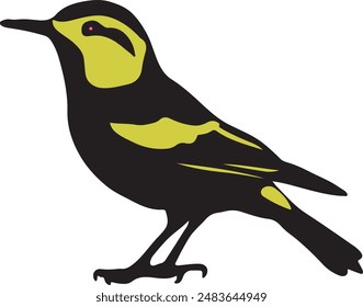 Bied vector art  style, with white background